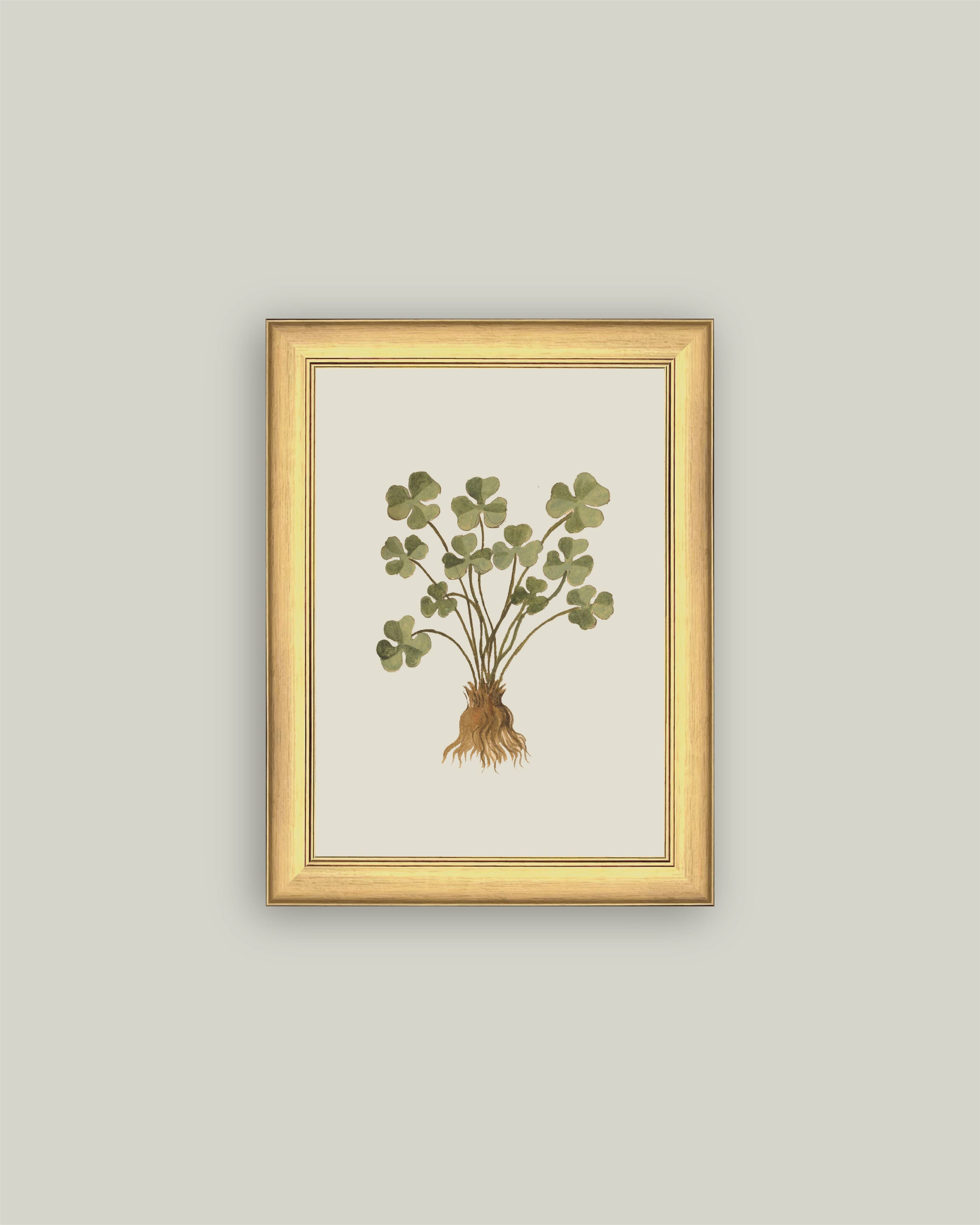 Rooted Luck - 6x8